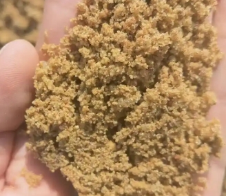 苏州黄沙批发那家好